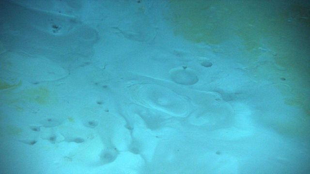These craters mark the formation of brine pools, from which salt has seeped through the seafloor and encrusted the nearby substrate. Picture