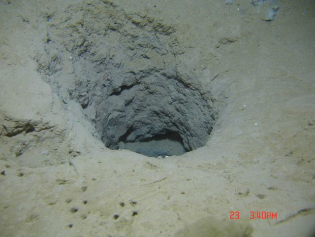 Must be the hole that the clumpy mudstone in expn1615 and expn1616 were excavated from Picture