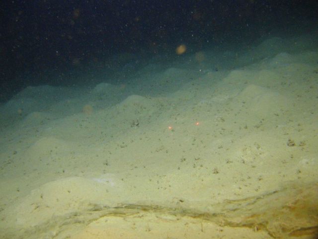 Hummocky sand and silt formations on a sandy, silty bottom. Picture