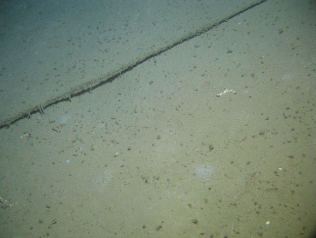 Monofilament fishing line marine debris on the sea floor. Picture