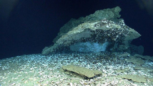 Cold seep site with methane hydrate trapped under overhanging ledge. Picture