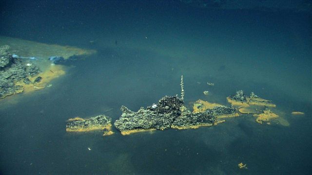 An island with small life forms in a dead sea of a brine pool. Picture