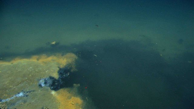 The edge of a brine pool with orange bacterial mat. Picture