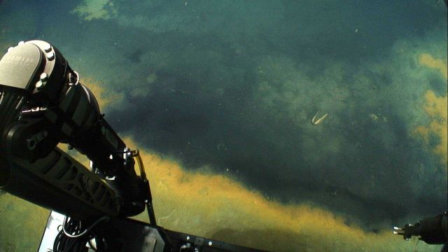 The manipulator arms of Deep Discoverer at the edge of a brine pool. Picture
