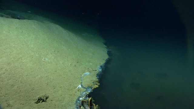 Sharply defined boundary between brine pool and normal seafloor Picture