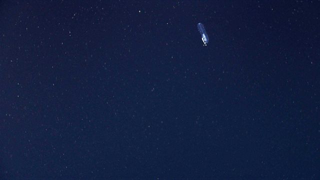 A siphonophore in the distance. Picture