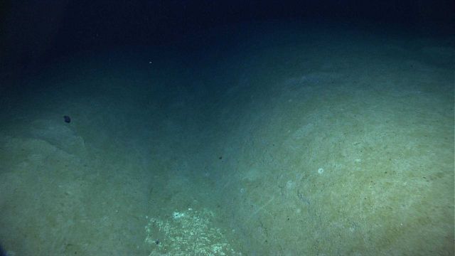A small gulley on eastern flank of Bryant Canyon. Picture