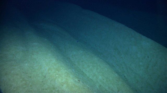 Parallel sediment chute gulleys on the eastern flank of Bryant Canyon. Picture