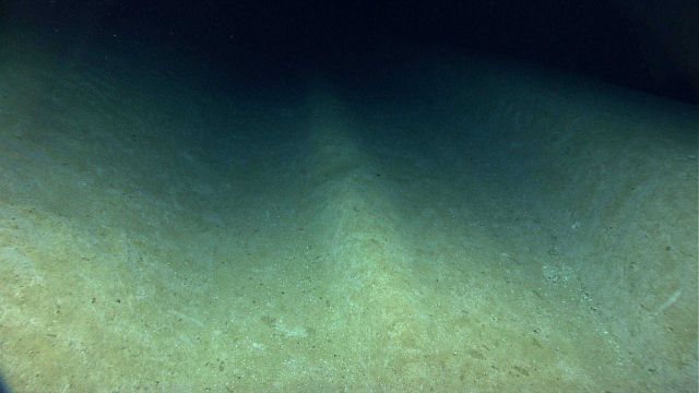 Parallel sediment chutes on the flank of Bryant Canyon. Picture