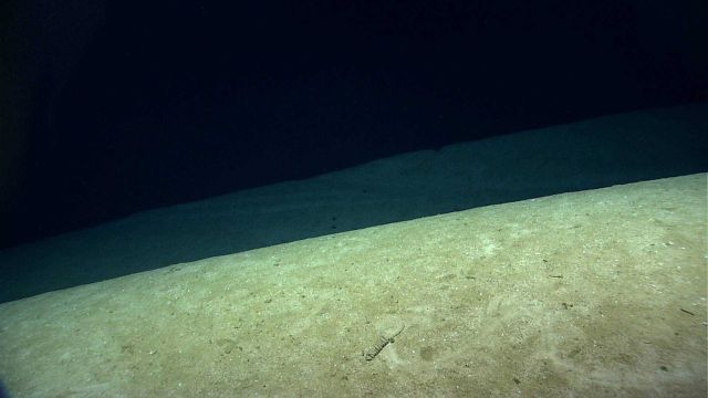 Looking perpendicular to sediment chutes on flank of Bryant Canyon Picture