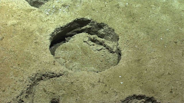 Closeup of large circular depression along Bryant Canyon flank Picture