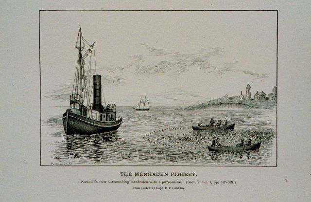 Crew of menhaden steamer surrounding a school with purse-seine From sketch by Capt Picture