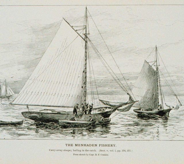 Carry-away sloops; bailing in the catch Picture