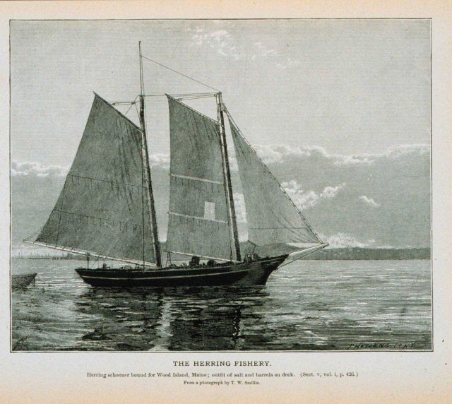 Herring schooner bound for Wood Island, Maine Outfit of salt and barrels on deck From a photograph by T Picture