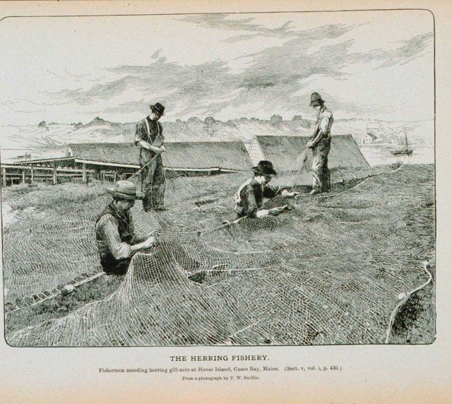 Fishermen mending herring gill-nets at House Island, Casco Bay, Maine From a photograph by T Picture