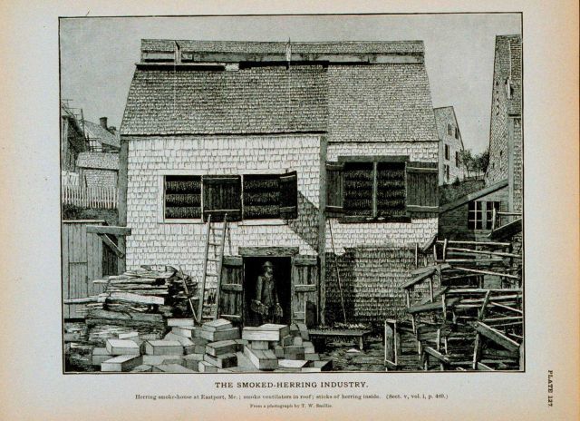 Herring smoke-house at Eastport, Maine Smoke ventilators on roof; sticks of herring inside From a photograph by T Picture
