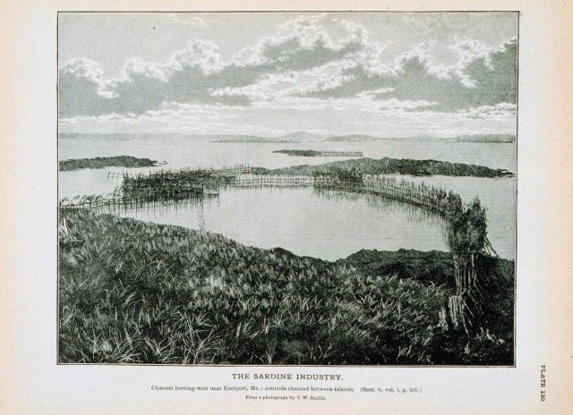 Channel herring weir near Eastport, Maine; controls channel between islands From a photograph by T Picture