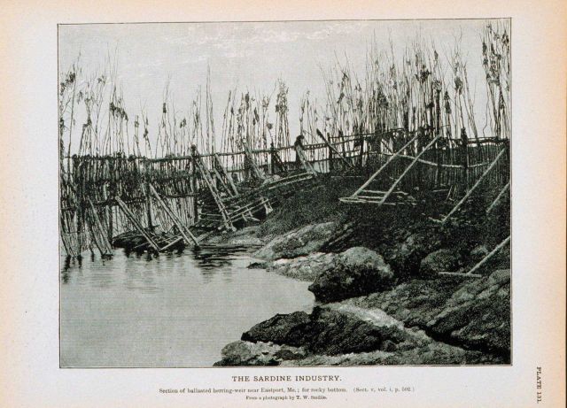 Section of ballasted weir near Eastport, Maine; for rocky bottom From a photograph by T Picture