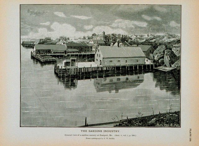 General view of sardine cannery at Eastport, Maine From a photograph by T Picture