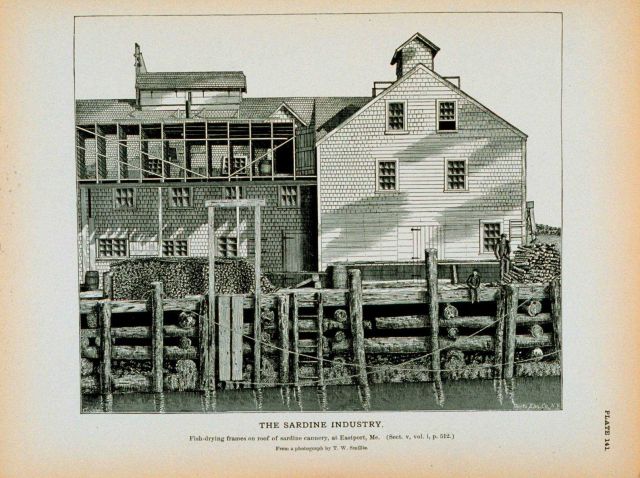 Fish drying frames on roof at sardine cannery From a photograph by T Picture