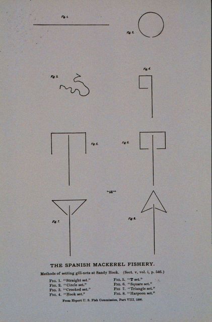 Methods of setting Spanish mackerel gill-nets Picture