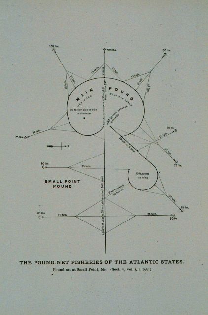 Diagram of pound-net at Small Point, Maine By Capt Picture