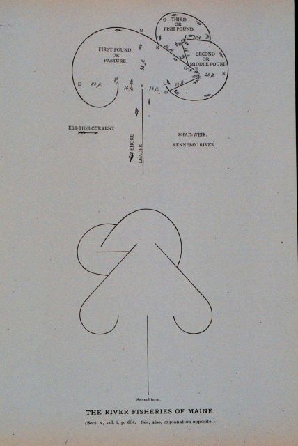 Diagram of shad weir, Kennebec River, Maine Picture