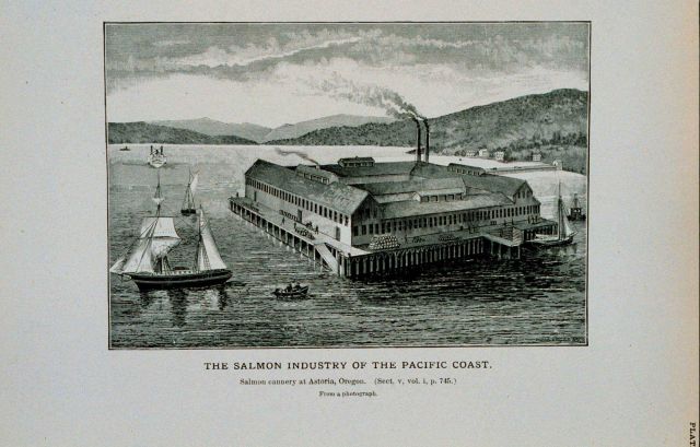 Salmon cannery at Astoria, Oregon From a photograph Picture