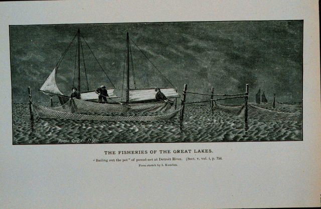 Bailing out the pot of pound-net at Detroit River Picture