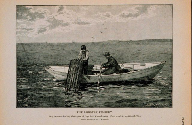 Dory fishermen hauling lobster pots off Cape Ann, Massachusetts From photograph by T Picture