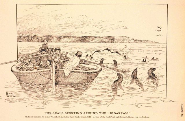 Plate 32 Picture