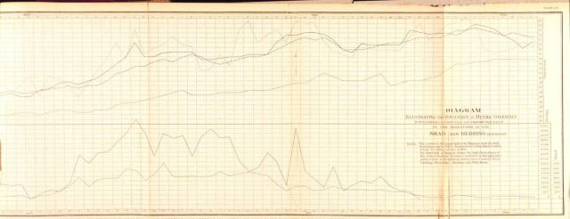 Plate 215 Picture