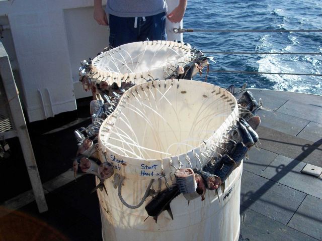 Teacher at Sea on board the NOAA Ship OREGON II Picture