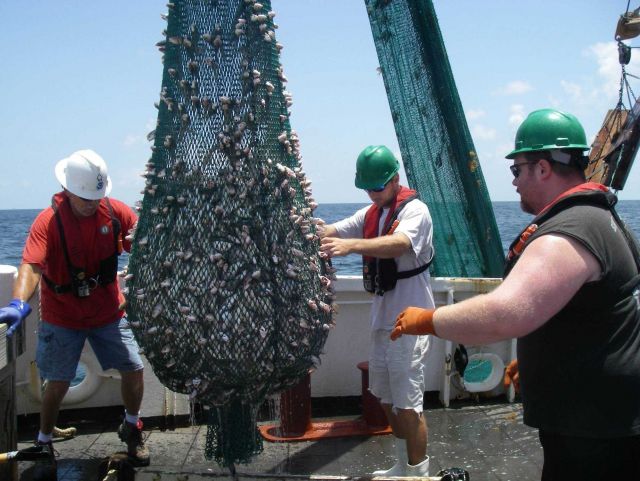 Teacher at Sea on board the NOAA Ship OREGON II Picture
