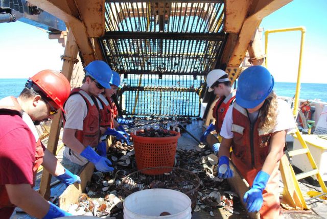 Teacher at Sea on board the NOAA Ship DELAWARE II Picture