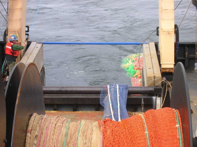 Teacher at Sea on board the NOAA Ship OSCAR DYSON. Picture