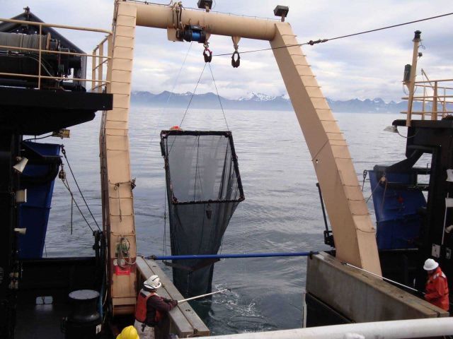 Teacher at Sea on board the NOAA Ship OSCAR DYSON. Picture
