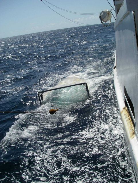 Teacher at Sea on board the NOAA Ship OREGON II. Picture