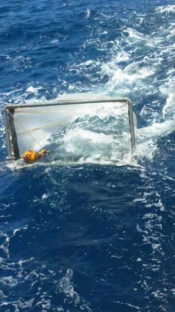 Teacher at Sea on board the NOAA Ship OREGON II. Picture