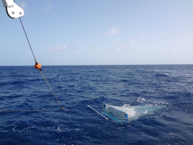 Teacher at Sea on board the R/V WALTON SMITH Picture