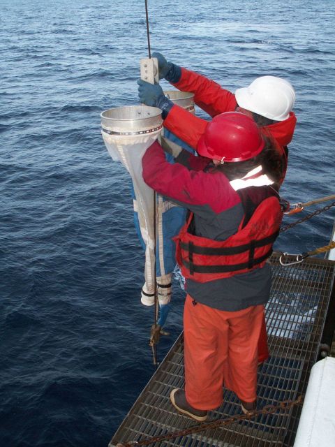 Deploying Pairovet II vertical net tow. Picture