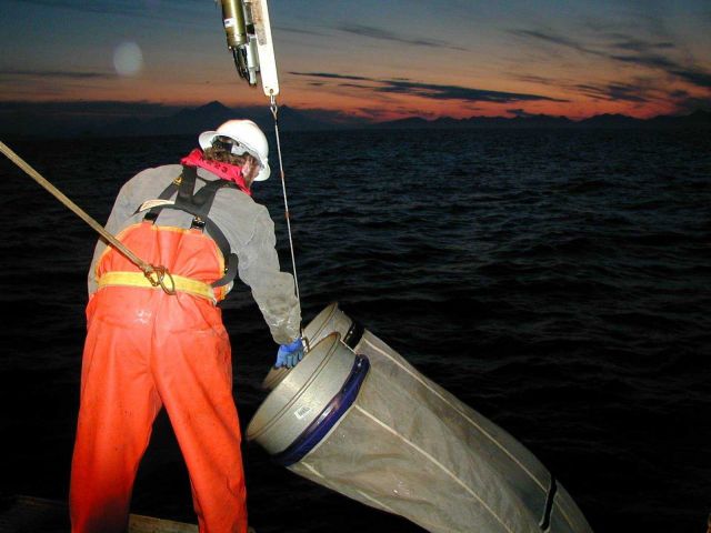 Deploying bongo nets. Picture