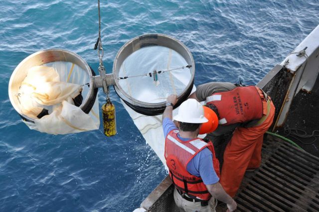 Deploying bongo nets. Picture