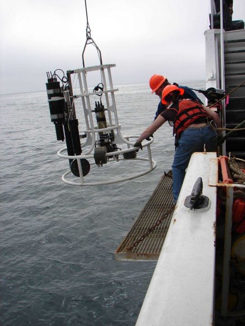 Deploying CTD (Conductivity, Temperature, Depth sensor) Picture