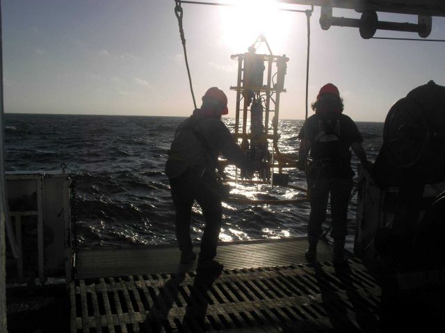 Deploying CTD (Conductivity, Temperature, Depth sensor) Picture