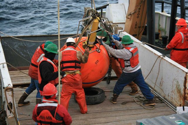 Deploying oceanographic buoy from stern of NOAA Ship MILLER FREEMAN. Picture