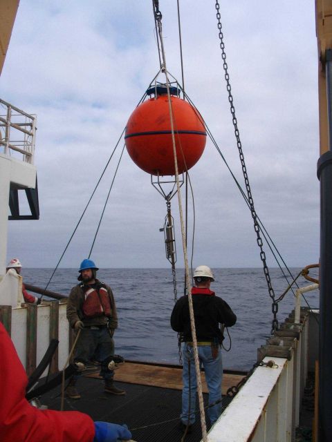 Deploying subsurface acoustic doppler current profiler (ADCP) buoy. Picture