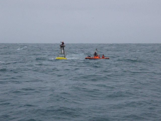 FOCI (Fisheries Oceanography Coordinated Investigations) buoy mooring operations off the NOAA Ship MILLER FREEMAN. Picture