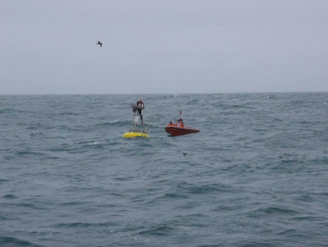 FOCI (Fisheries Oceanography Coordinated Investigations) buoy mooring operations off the NOAA Ship MILLER FREEMAN. Picture