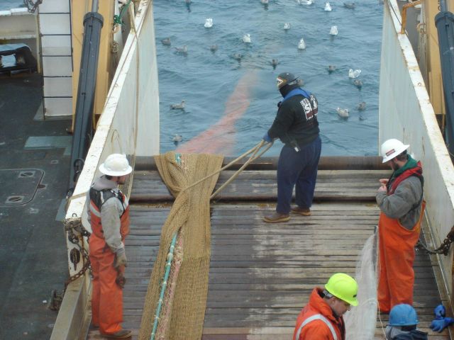 Fisheries Collection Picture